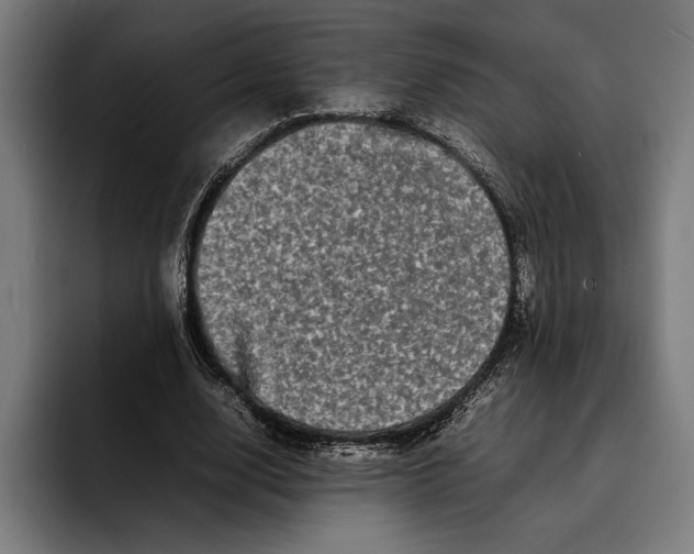 X0000092270632200710121341