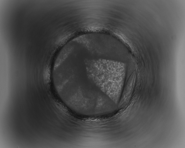 X0000092270640200710121341