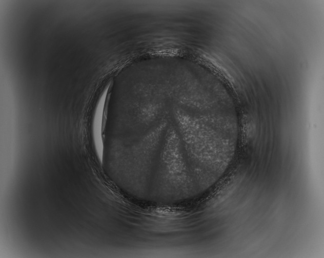 X0000092270641200710121341