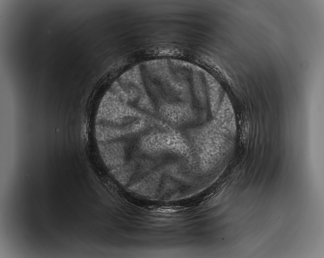 X0000092270643200710121341