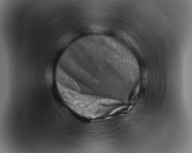X0000092270644200710121341