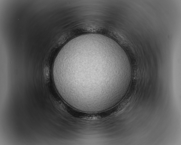 X0000092270646200710121341