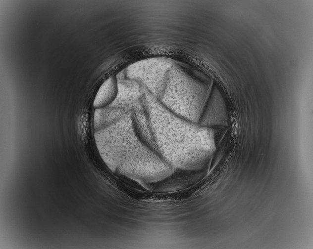 X0000092270648200710121341
