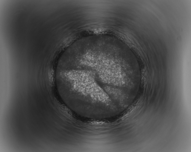 X0000092270650200710121341