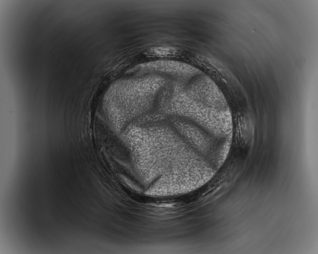 X0000092270651200710121341