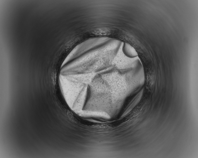 X0000092270652200710121341