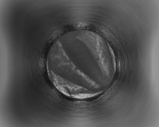 X0000092270654200710121341