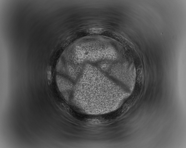X0000092270655200710121341