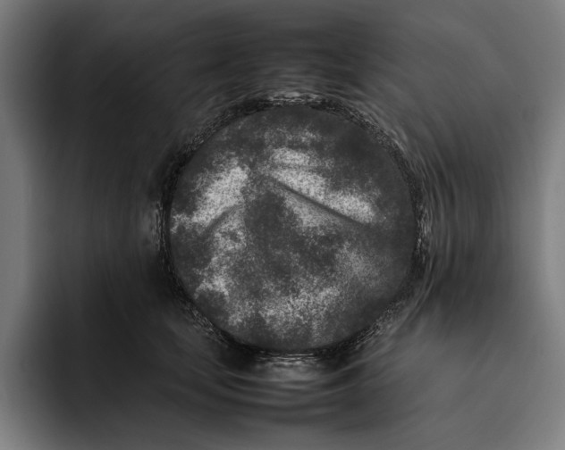 X0000092270659200710121341