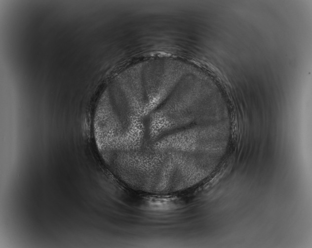 X0000092270661200710121341