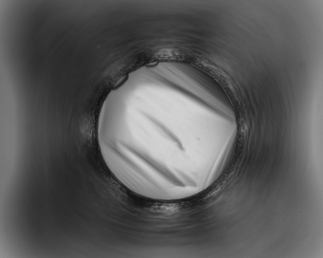 X0000092270665200710121341