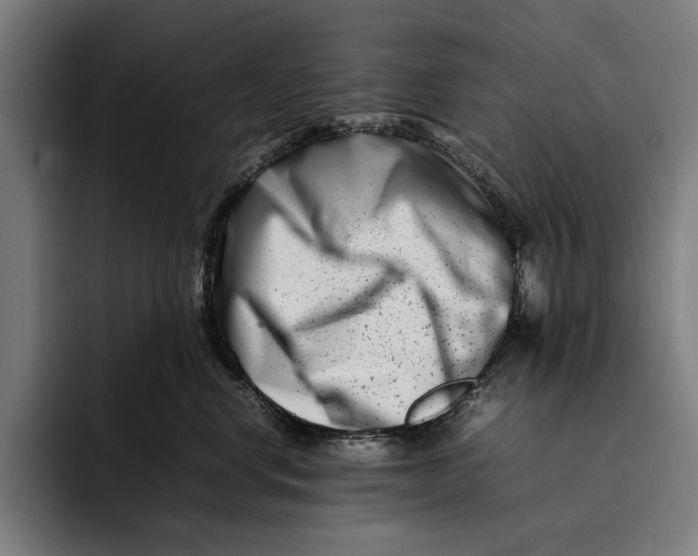X0000092270668200710121341