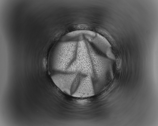 X0000092270669200710121341