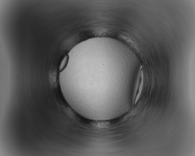 X0000092270670200710121341
