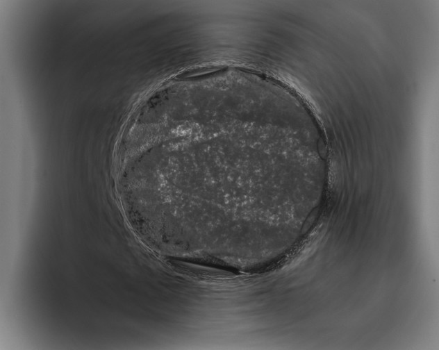 X0000092270673200710121341