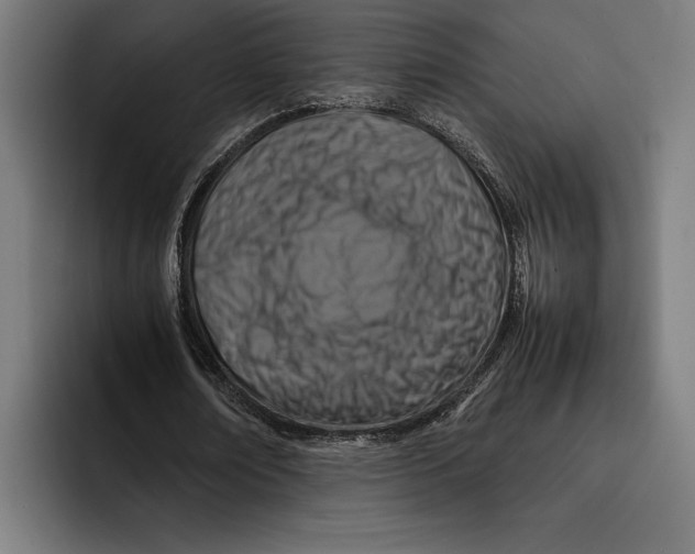X0000092270674200710121341