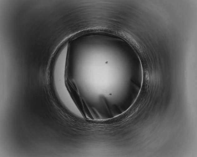 X0000092270676200710121341
