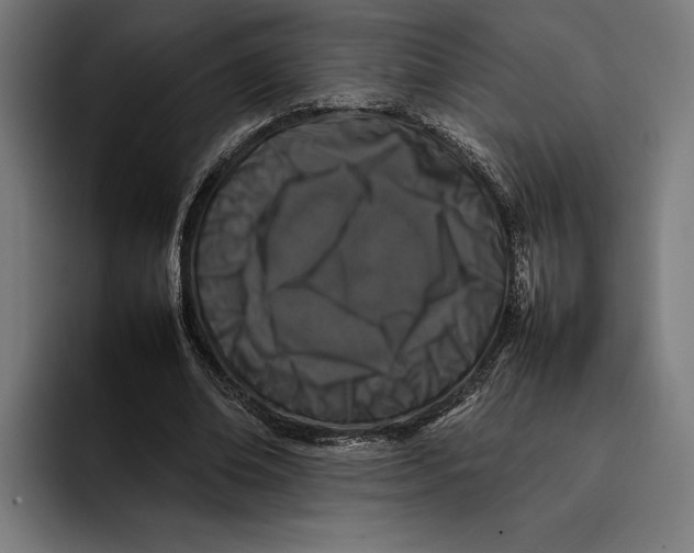 X0000092270678200710121341