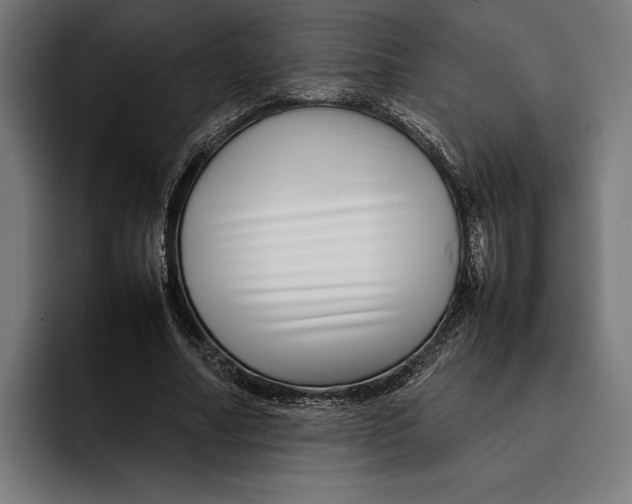 X0000092270682200710121341