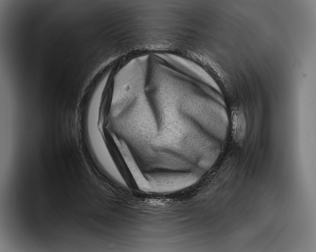 X0000092270684200710121341
