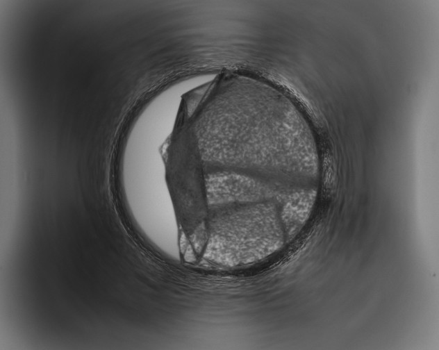 X0000092270685200710121340