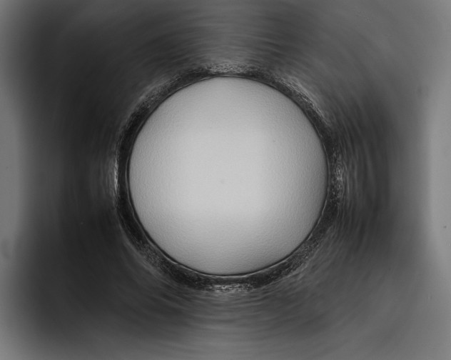 X0000092270686200710121340
