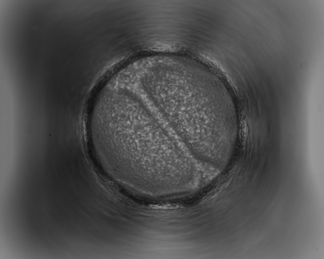 X0000092270688200710121340