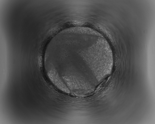 X0000092270689200710121340