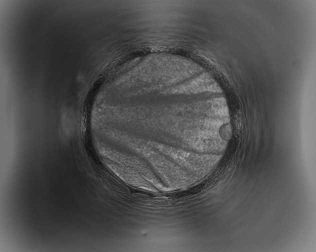 X0000092270691200710121340