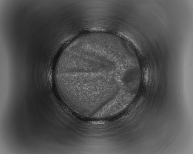 X0000092270692200710121340