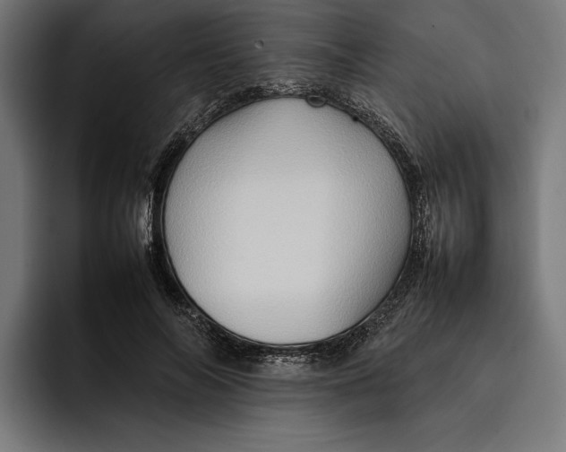 X0000092270694200710121340