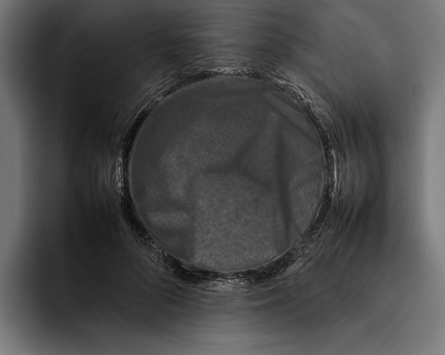 X0000092270696200710121340