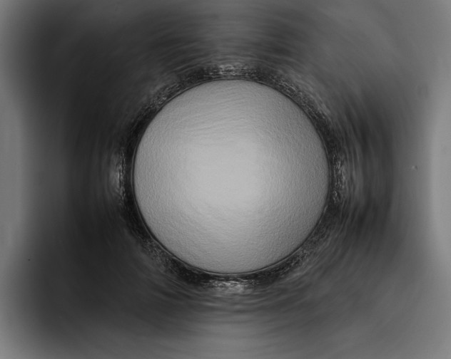 X0000092270698200710121340
