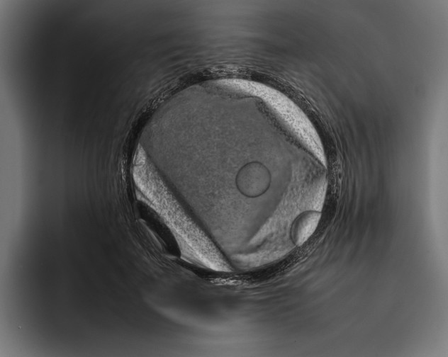 X0000092270699200710121340