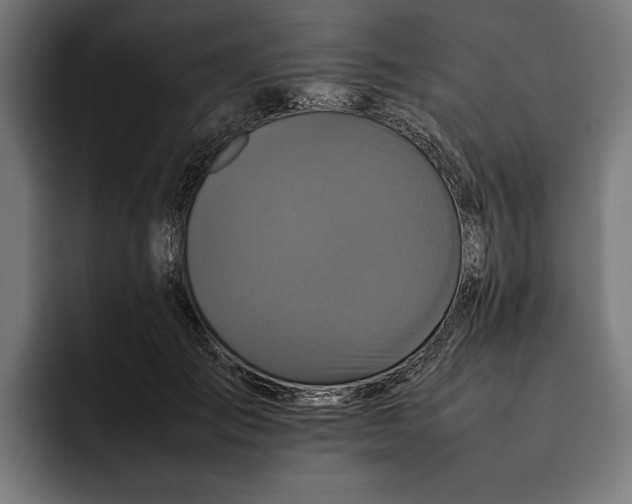 X0000092270701200710121340
