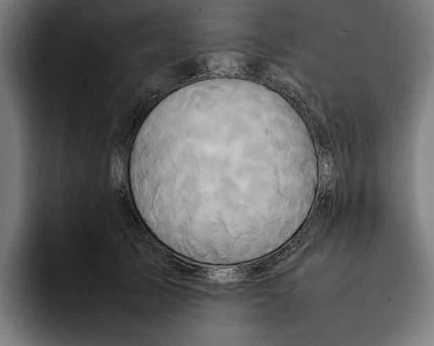 X0000092270705200710121340
