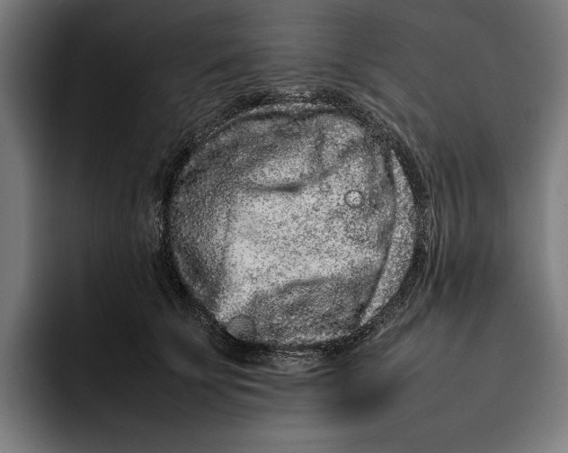X0000092270707200710121340
