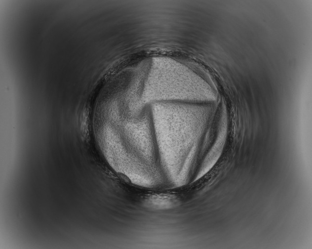 X0000092270708200710121340