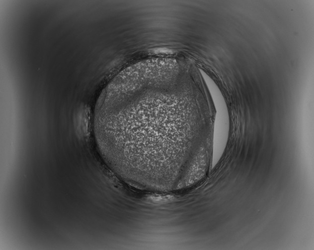 X0000092270712200710121340