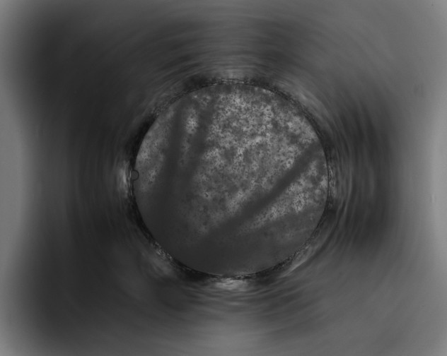 X0000092270718200710121340