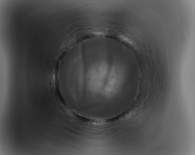 X0000092270720200710121340