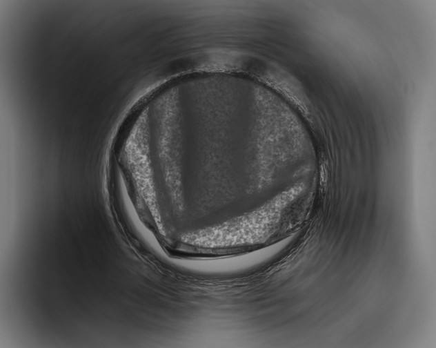 X0000092270724200710121340