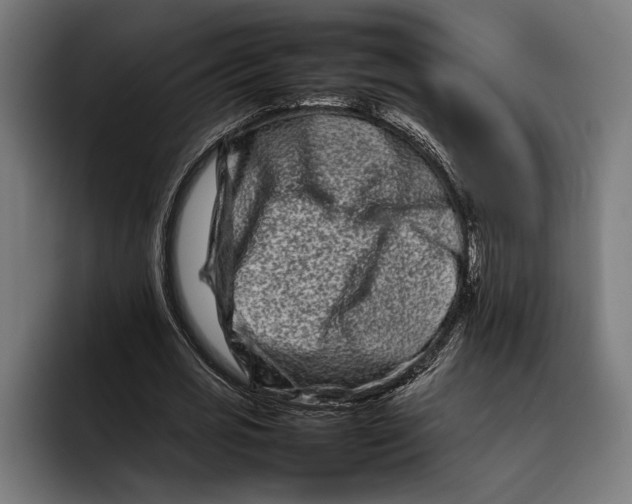 X0000092270725200710121340