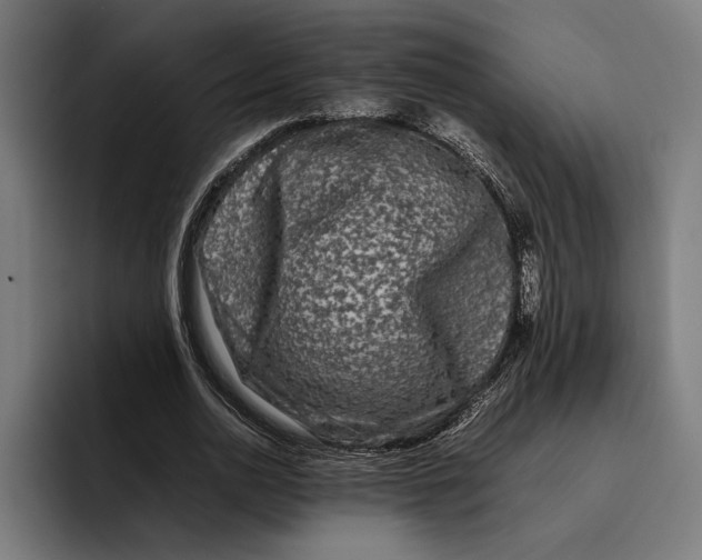 X0000092270726200710121340