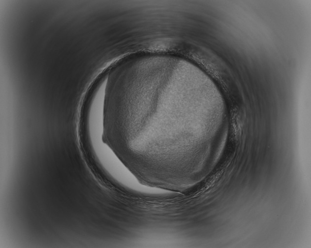 X0000092270728200710121340