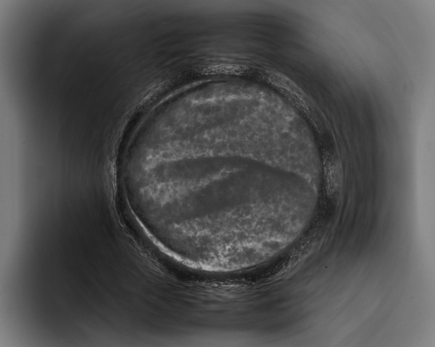 X0000092270729200710121340