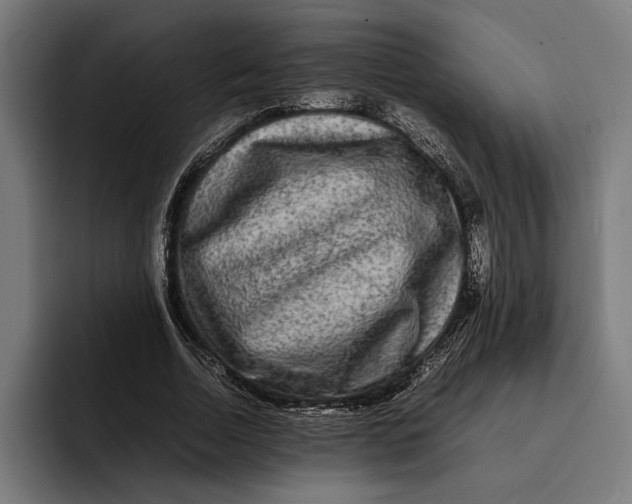 X0000092270730200710121340