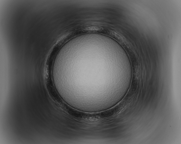 X0000092270731200710121340