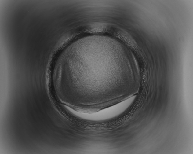X0000092270732200710121340