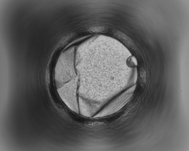 X0000092270734200710121340